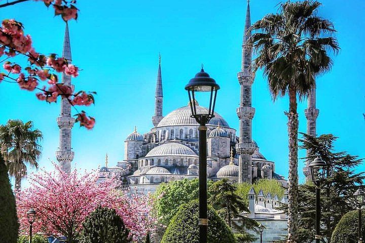 Premium Photo  View of the dome of the blue mosque istanbul turkey trees  lights