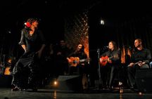 Private Flamenco Dance Workshop in Seville for Two