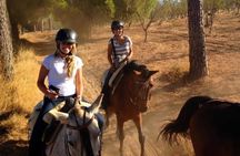 Horse Riding Trip in Andalusia