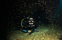 2-Hour Night Diving Session in Dubrovnik