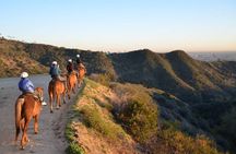 Horseback Ride Under the Hollywood Sign in Los Angeles for Two