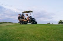 1 Hour Golf Lesson with a Professional Coach in Los Angeles