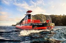 Undersea Expedition: Catalina Island Tour