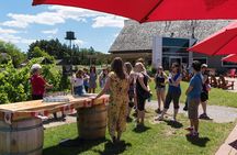 Small Group Niagara-on-the-Lake Wine Tasting Tour