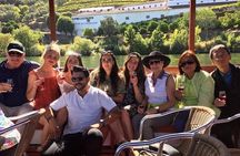 Douro Valley Tour: Wine Tasting, River Cruise and Lunch From Porto
