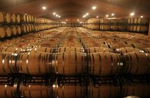Douro Valley Tour: Wine Tasting, River Cruise and Lunch From Porto