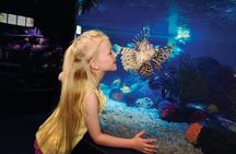2 Day LEGOLAND® California and SEA LIFE® aquarium Hopper tickets