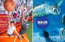 SEA LIFE Orlando Aquarium and Madame Tussauds combo ticket