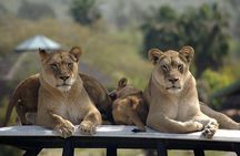 San Diego Zoo and Safari Park