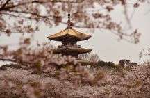 Additional Experiences in China