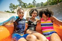 Walt Disney World Water Park Tickets