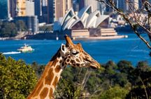 Sydney Taronga Zoo General Entry Ticket