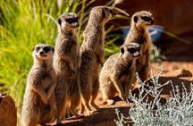 Sydney Taronga Zoo General Entry Ticket