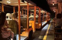 Singapore Night Safari