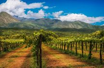 Honeymoon in South Africa