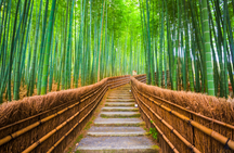Honeymoon in Japan