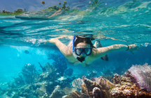 Honeymoon in the Caribbean