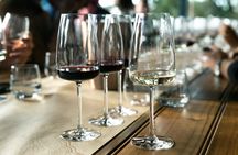 Intro to Wine Tasting