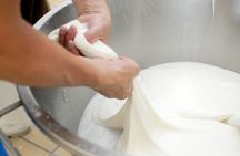 Fresh Mozzarella and Ricotta Cheese