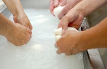 Fresh Mozzarella and Ricotta Cheese