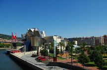 Guggenheim Bilbao Museum private tour
