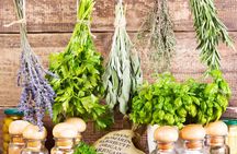 Best of Luberon in an afternoon from Avignon