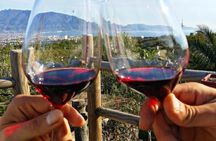 Wine tasting experience on Mount Vesuvius with lunch