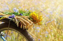 Chianti e-bike tour from San Gimignano with typical lunch and wine tasting