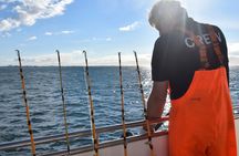 Sea fishing tour from Reykjavik