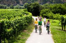 Wachau Winery Bike Tour