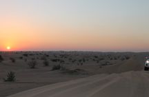 Desert safari and dinner from Abu Dhabi