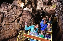 Lake Bled and Postojna Cave full-day tour from Ljubljana