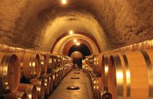 Wine experience with castles, medieval cities or cathedrals guided tour from Madrid