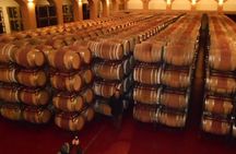 Ávila and Rueda wine tour from Madrid