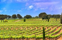 Windmills of Don Quixote wine tour from Madrid