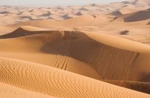 Dubai morning desert safari with camel ride