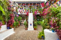 Tickets and guided tour of the authentic patios of Córdoba