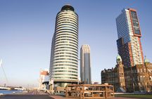 Small-group full-day trip to Rotterdam, Delft and The Hague