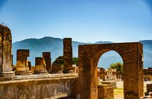 Pompeii 2-hour private guided tour with an archaeologist