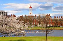 Harvard Square food tour