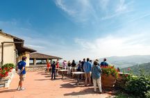 Tuscan day trip from Rome with lunch and wine tasting included