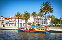 Aveiro and Coimbra small group tour from Porto