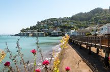 Muir Woods and Sausalito half-day tour