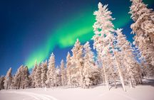 Hunting Northern Lights with Lappish Barbecue