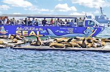 San Diego SEAL Tour at Seaport Village