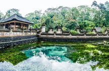 Bali traditional Ubud village sightseeing tour