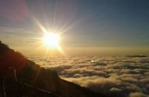 Bali: Mount Batur Sunrise Trekking with Coffee Plantation