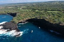 Hawaii whale watching