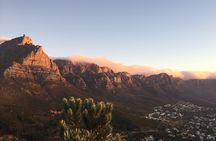 Full-Day best of the Cape, Cape of Good Hope and Stellenbosch Tour