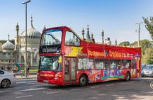City Sightseeing hop-on hop-off bus tour of Brighton